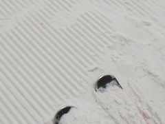 游乐设施-绍兴启迪乔波冰雪世界