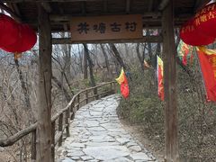 -井塘古村