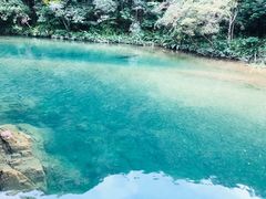 -龙湾潭国家森林公园