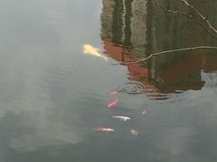 -文瀛公园