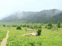 -白草畔自然风景区