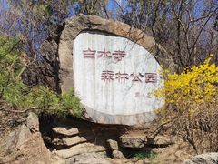 -白水寺森林公园