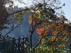 -萍乡武功山风景名胜区