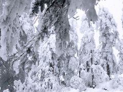 -瓦屋山景区