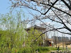 -长田漾湿地公园