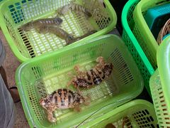 -班赞海鲜市场