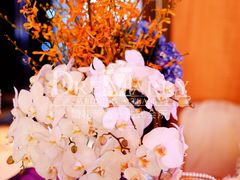 DSC_8722-2-上海明天广场JW万豪酒店