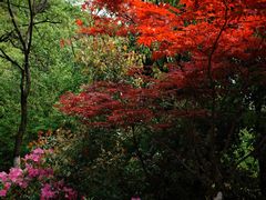 -杭州半山国家森林公园