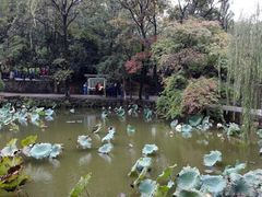 -毛泽东同志旧居