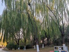 -南翠屏公园