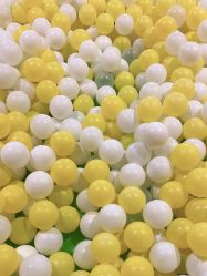 -宝燕乐园(闵行旗舰店)