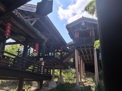 -大唐贡茶院