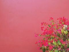 -乌山风景区