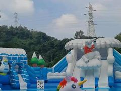 -重庆长寿碧桂园凤悦凤凰酒店