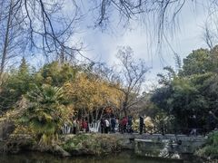 -水绘园