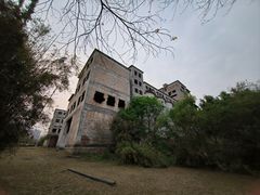 -广东花都湖国家湿地公园