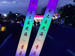 -荷兰花海