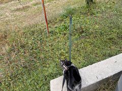 -前小桔亲子创意农场·草莓采摘·露营烧烤