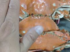 -晓伟海鲜家常菜