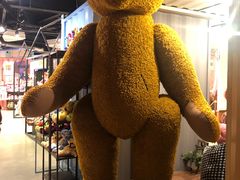 -济州岛泰迪熊博物馆