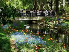 -上海共青森林公园