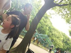 -共青国家森林公园-售票处