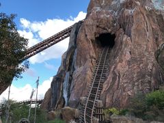 -奥兰多迪士尼动物王国乐园