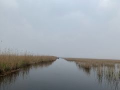 -白洋淀景区