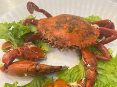 -光海鲜鱼翅餐厅(叻差拉披色路店)