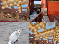 -中山公园音乐堂