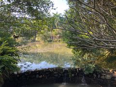 -滴水岩森林公园