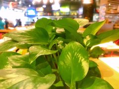 -避风塘(金山万达店)