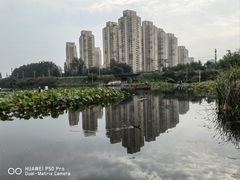 -前关湿地公园