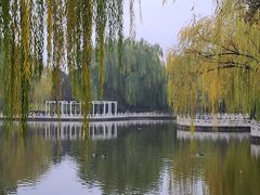 -丰台花园