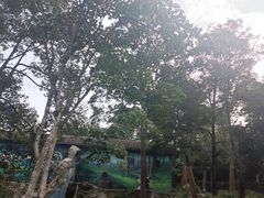 -中国大熊猫保护研究中心雅安碧峰峡基地