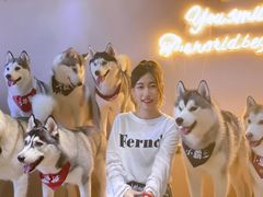 -Husky Go! 哈士奇体验馆·宠物咖啡厅狗咖