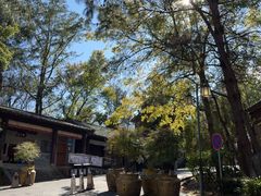 -天龙八部武侠城