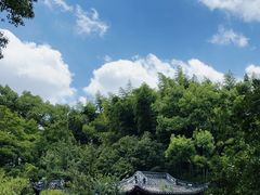 -汇龙潭
