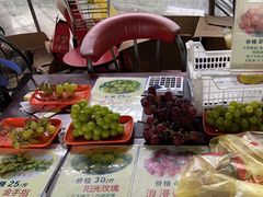 -马陆小张葡萄园农家乐