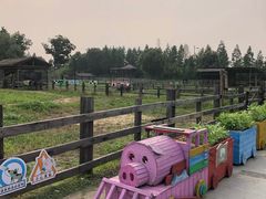 -田园东方蜜桃村的田野营地