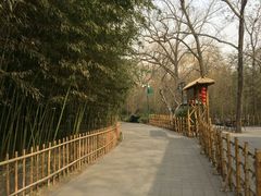 -紫竹院公园冰场