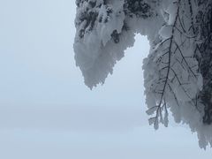 -瓦屋山景区