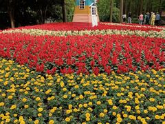 -上海共青森林公园