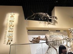 -国家自然博物馆