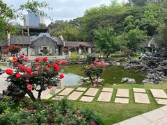 -清湖文化公园