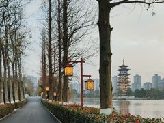 -洋湖国家湿地公园