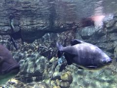 -常州海昌海洋探索馆