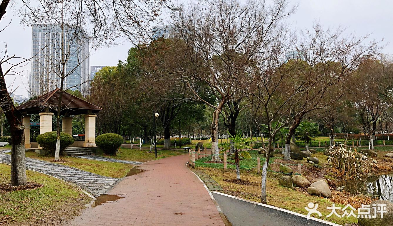 真想穿上跑鞋，沿湖跑几圈