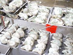 桑拿蚝-蚝专家(北滘店)