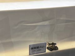 -南京科技馆